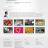 Tara’s Website